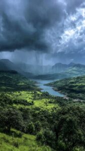 भंडारदरा परिसरात मुसळधार पाऊस