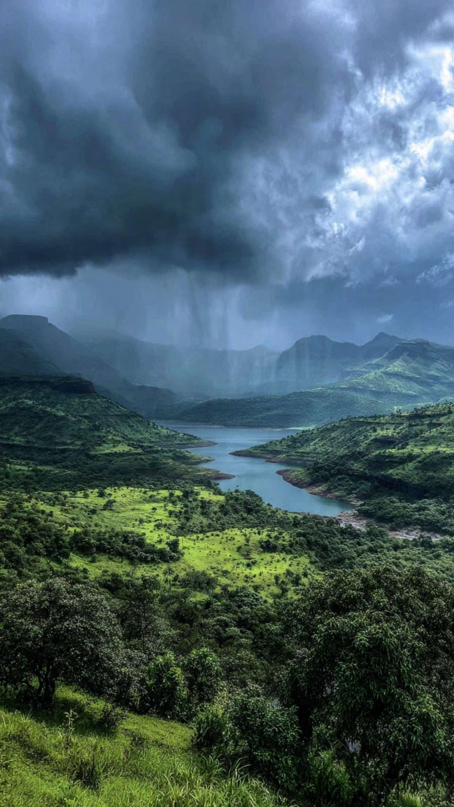 भंडारदरा परिसरात मुसळधार पाऊस